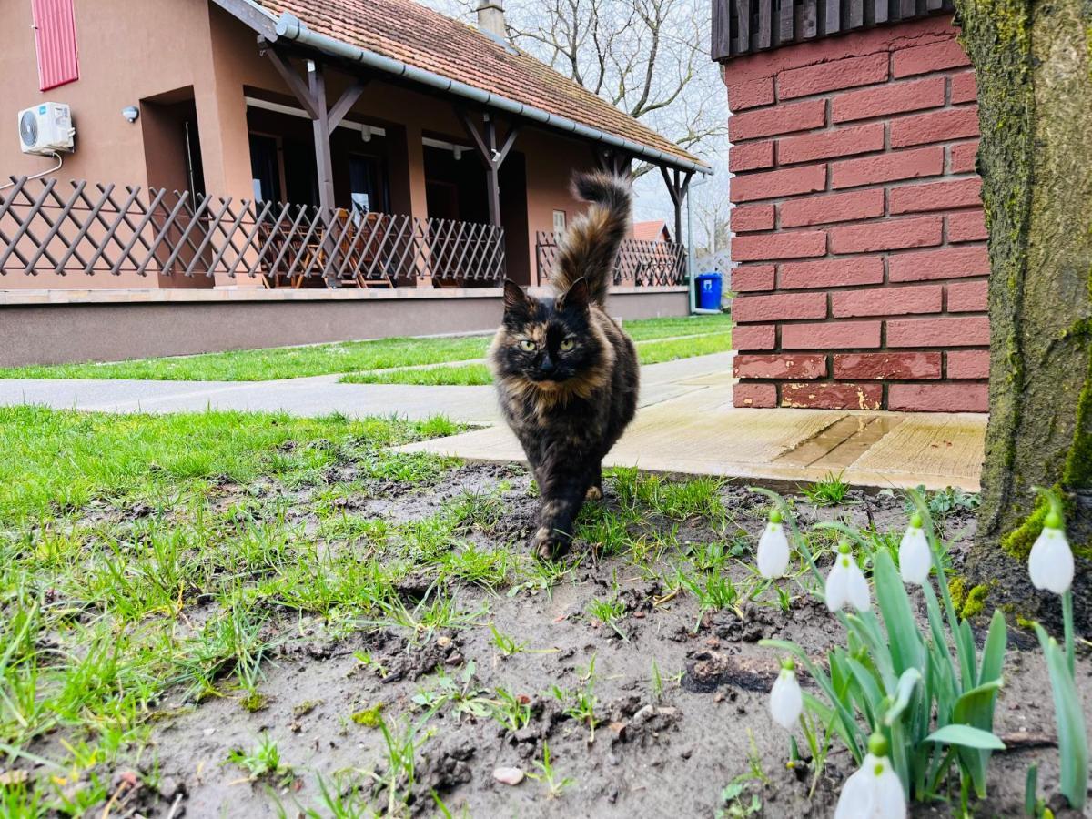 Ferienwohnung Turul -Kuca Za Odmor- Korod Exterior foto