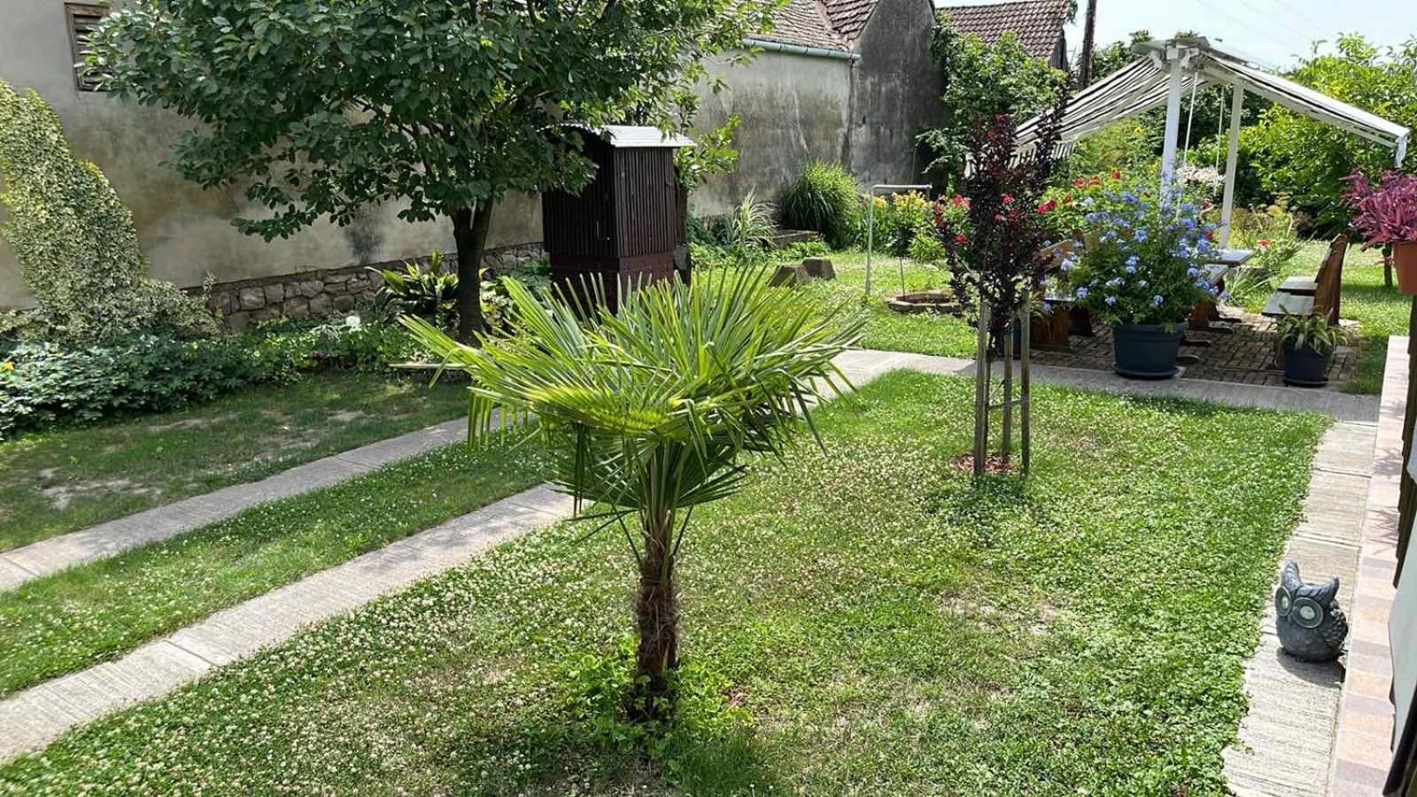 Ferienwohnung Turul -Kuca Za Odmor- Korod Exterior foto